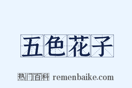 五色花子是什么意思的图片